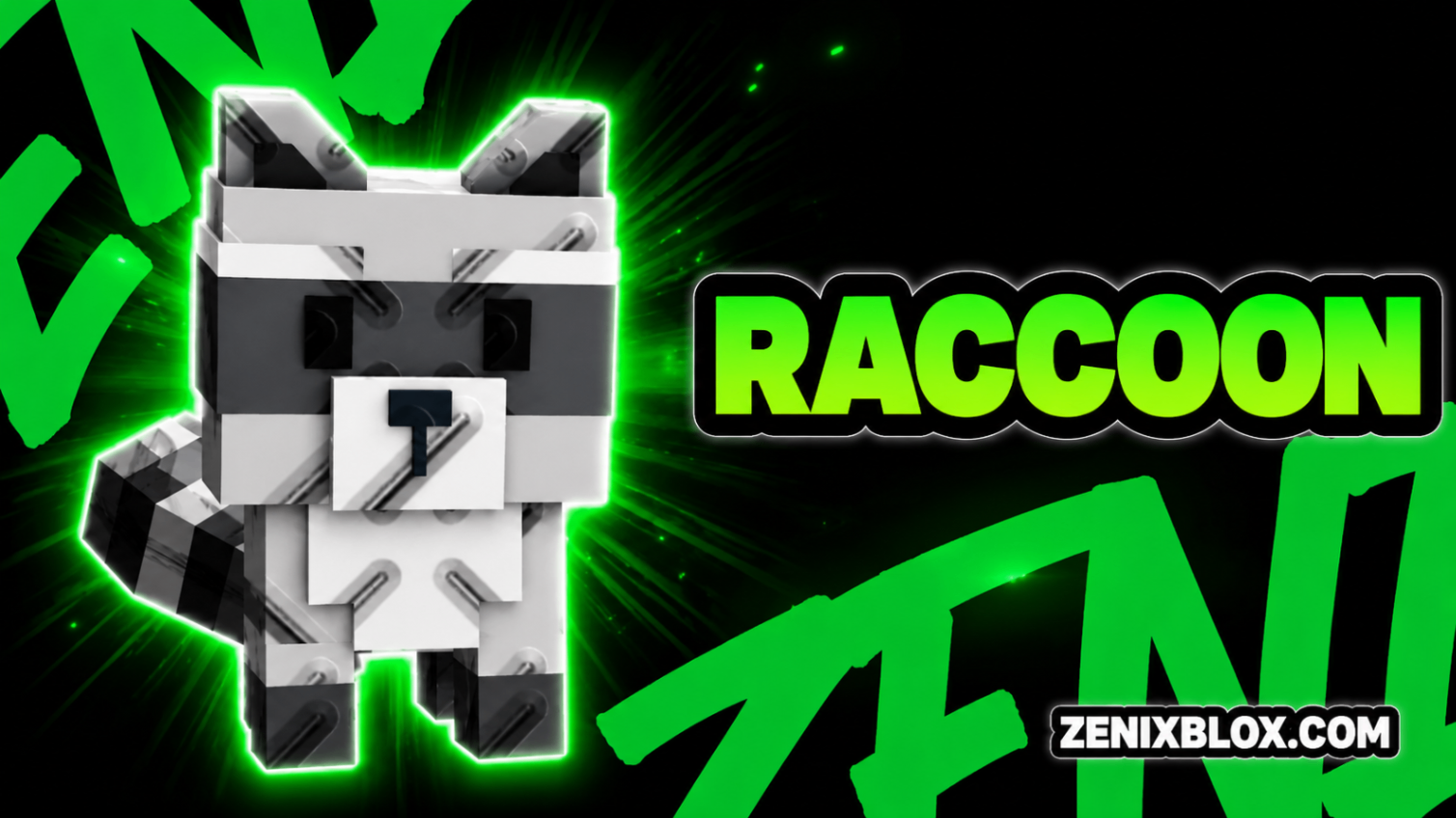 Raccoon